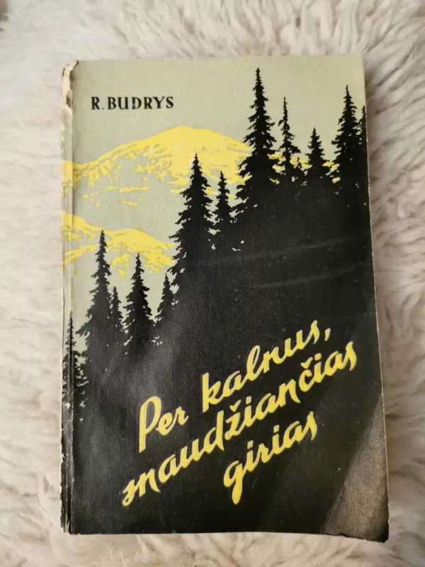 Per kalnus, snaudžiančias girias - R. Budrys, knyga 2