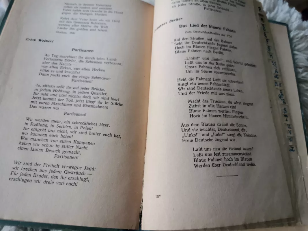 Deutsch. Vokiečių kalbos vadovėlis X klasei - K. Pogodilovas, I.  Rachmanovas, knyga 4