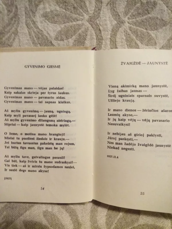 Kaip žydėjimas vyšnios - Salomėja Nėris, knyga 4