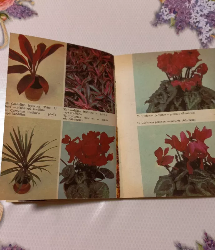 Vazoninės gėlės - A. Baliūnienė, A. Boguševičiūtė, V. Juronis, L. Novickienė, knyga 4