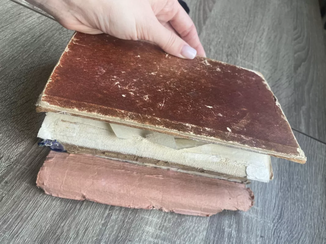 Egero žvaigždės - Geza Gardonyi, knyga 3