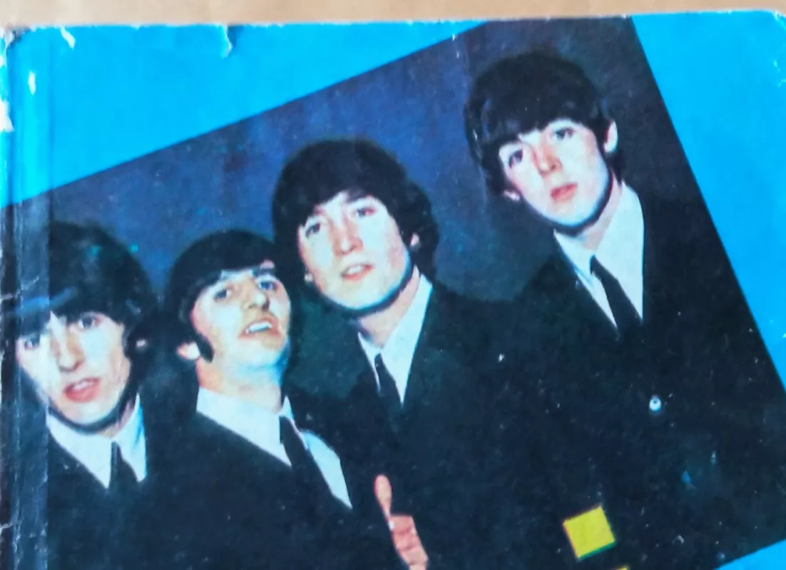 Bitlai grįžo - D. Kaminskas, knyga 3