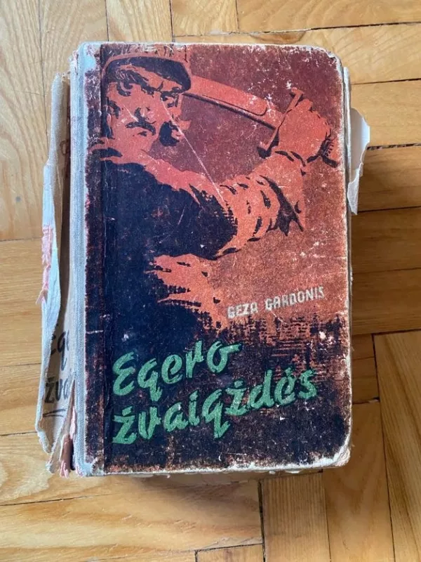 Egero žvaigždės - Geza Gardonyi, knyga 2