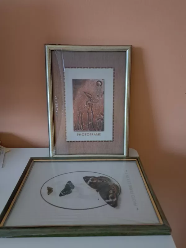 Rėmeliai - , namai ir interjeras 4