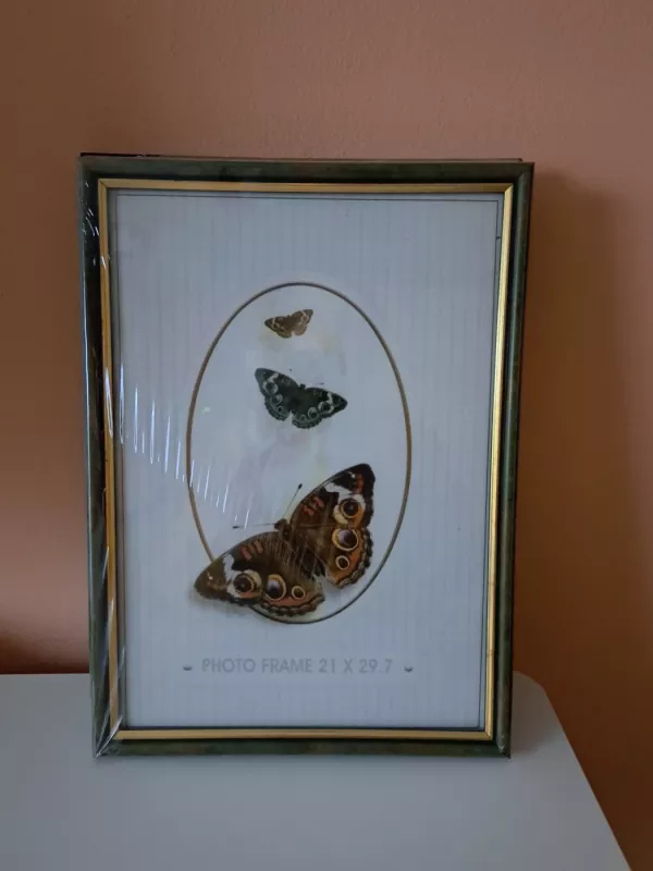 Rėmeliai - , namai ir interjeras 3