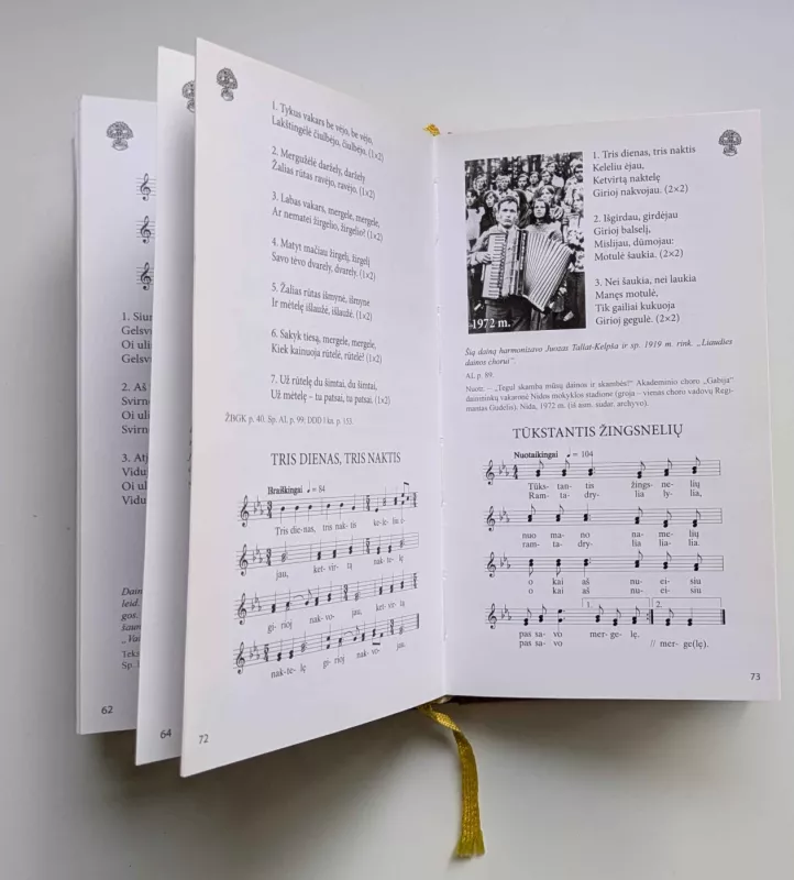 Padainuosim mes suėję. Dainynas (2014) - Irena Mickevičiūtė-Rimgailienė, knyga 3