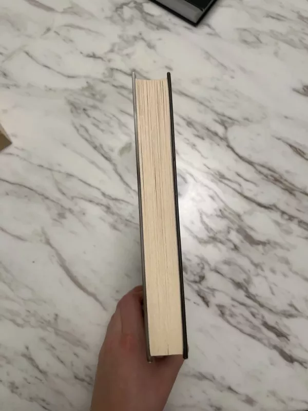 Ragautojos - Rosella Postorino, knyga 4