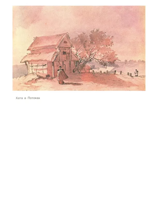 Izbrannye sochineniya - T.G. Shevchenko, knyga 6