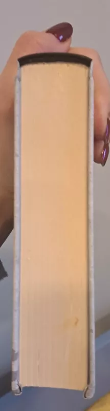 Pietinia kronikas - Rimantas Kmita, knyga 2