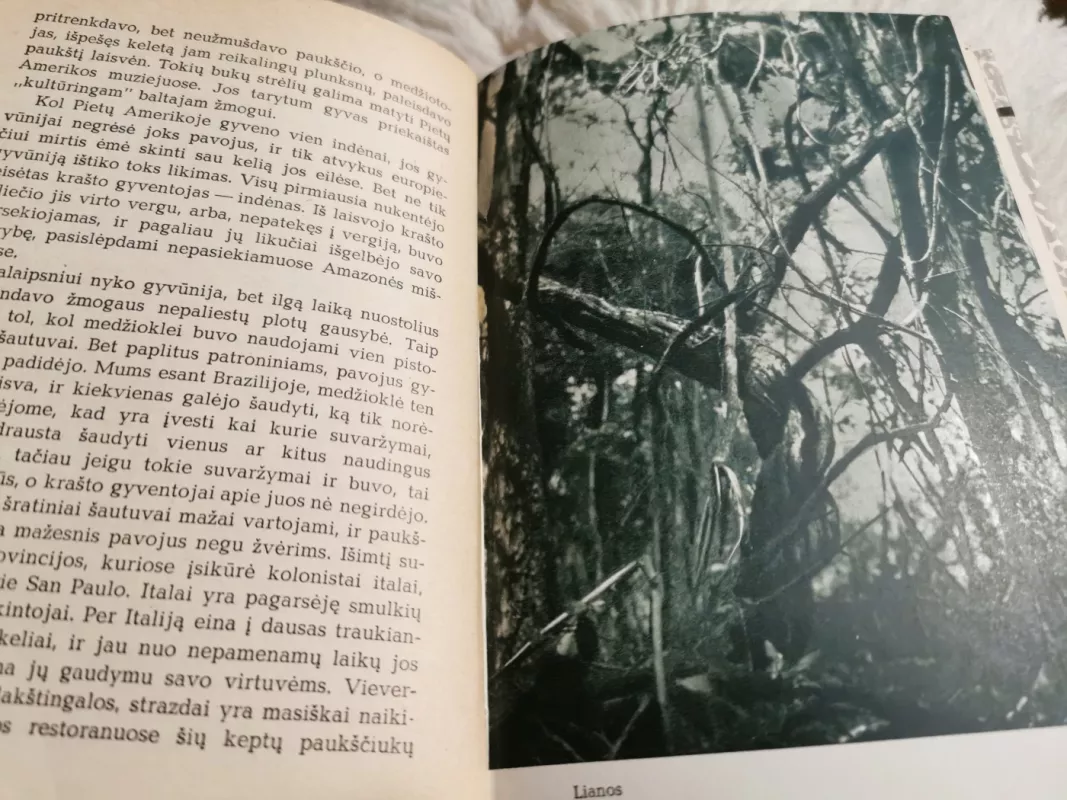 Trys mėnesiai Brazilijoje - Tadas Ivanauskas, knyga 3