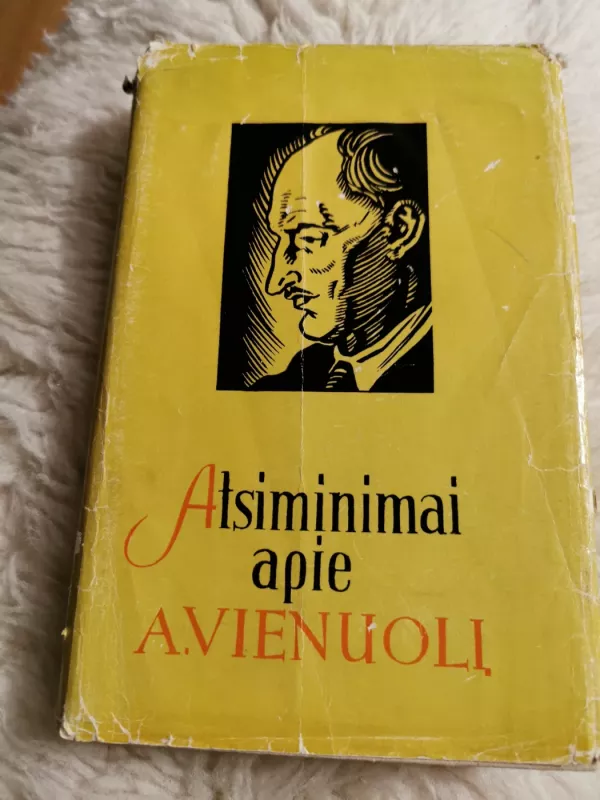 Atsiminimai apie Vienuolį - Antanas Venclova, knyga 2