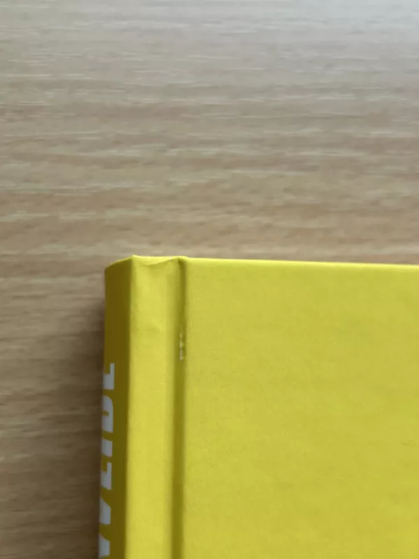 Geltonveidė - Rebecca F. Kuang, knyga 6