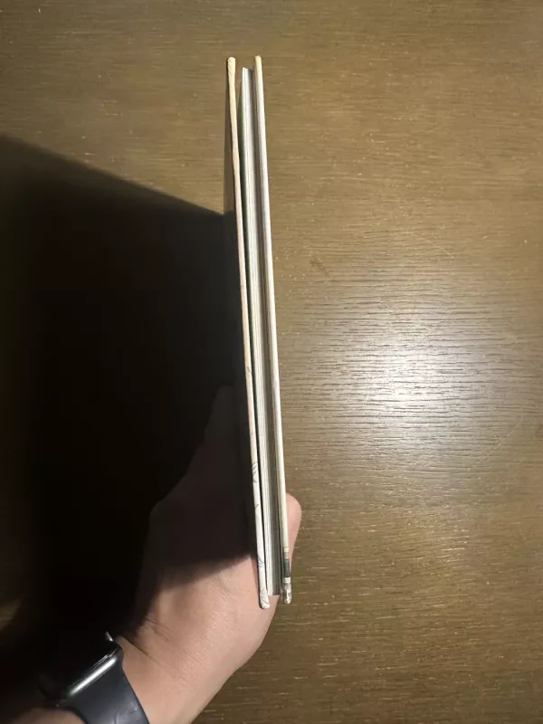 Mažoji žiema - Kęstutis Kasparavičius, knyga 3