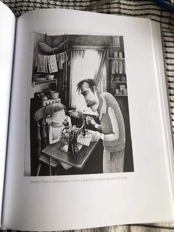 Kedrynų mergaitės istorijos - Elvyra Žeižienė, knyga 4