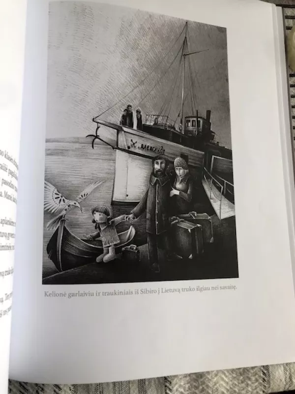 Kedrynų mergaitės istorijos - Elvyra Žeižienė, knyga 6