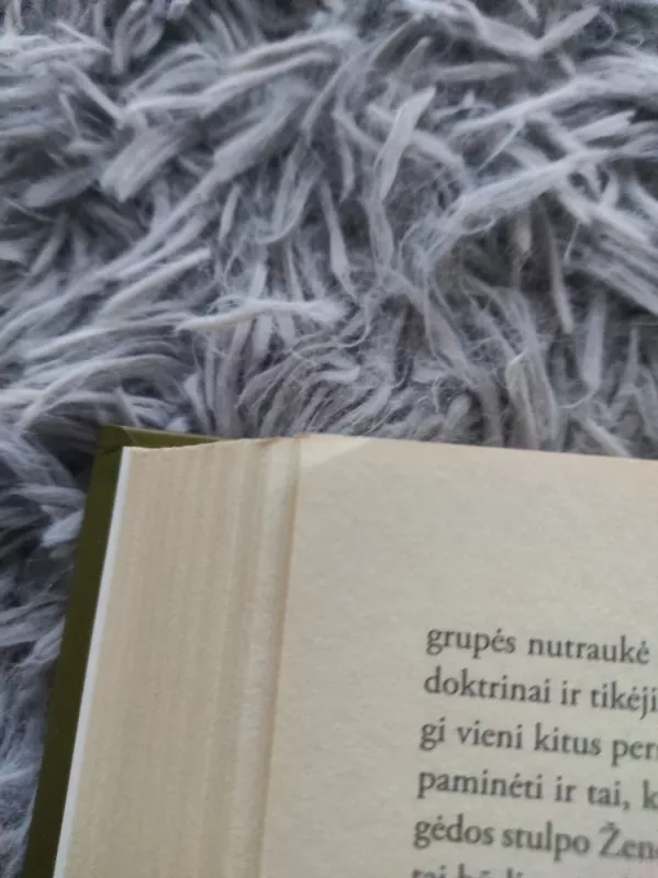 Reikšmingiausios idėjos - Anthony C. Grayling, knyga 3