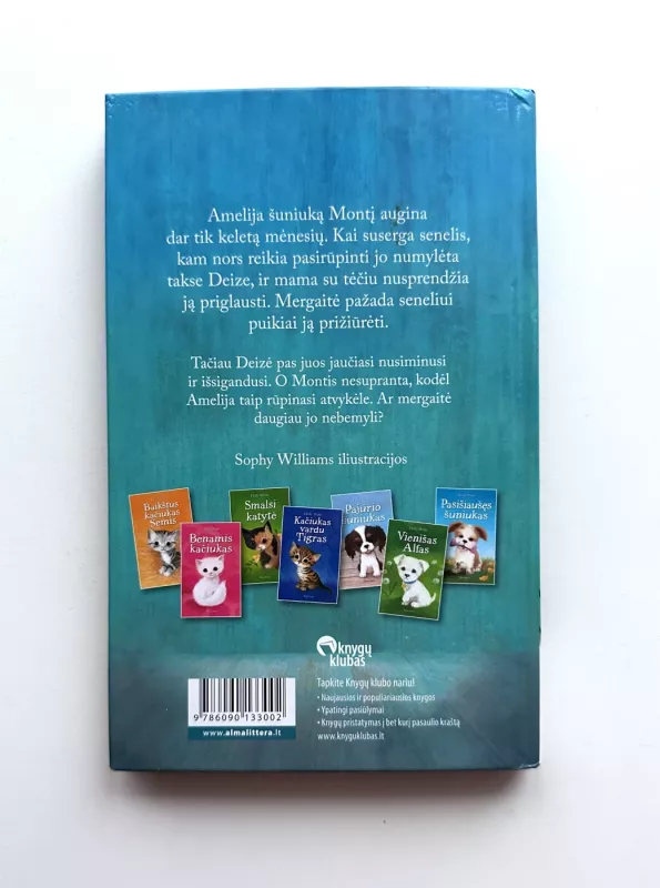 Liūdnasis Montis - Holly Webb, knyga 4