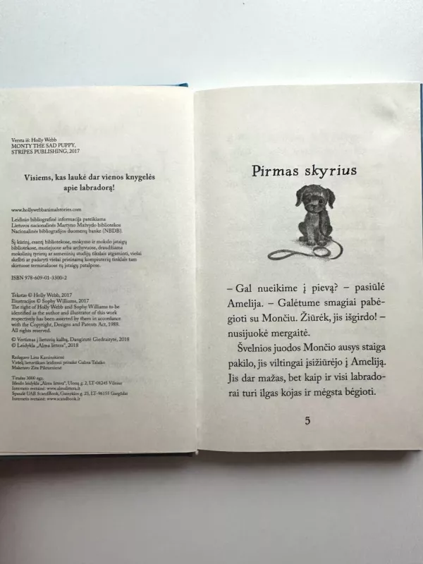 Liūdnasis Montis - Holly Webb, knyga 5