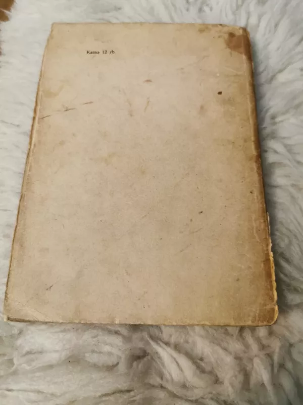 Dičius - Teofilis Tilvytis, knyga 4