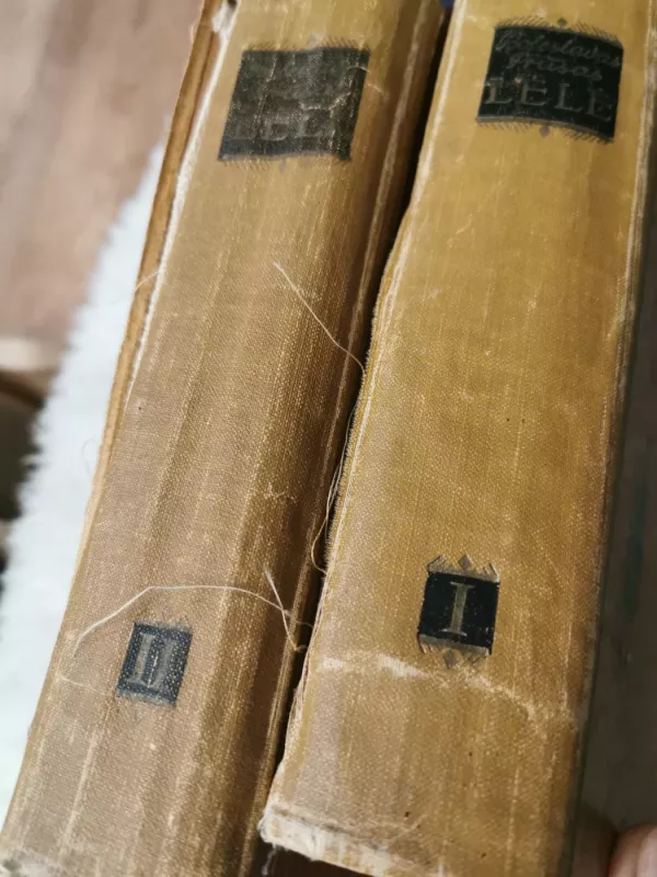 Lėlė (2 tomai) - Boleslovas Prūsas, knyga 3