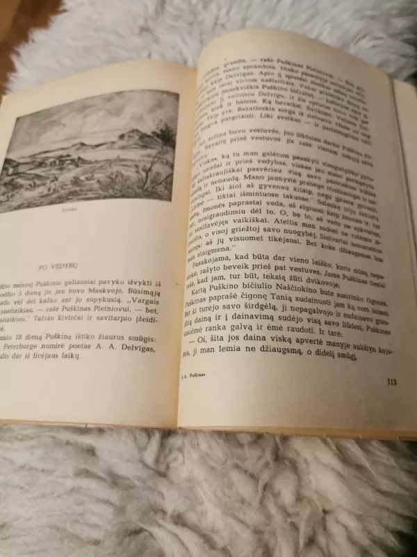 A.S.Puškinas - V. Veresajevas, knyga 4