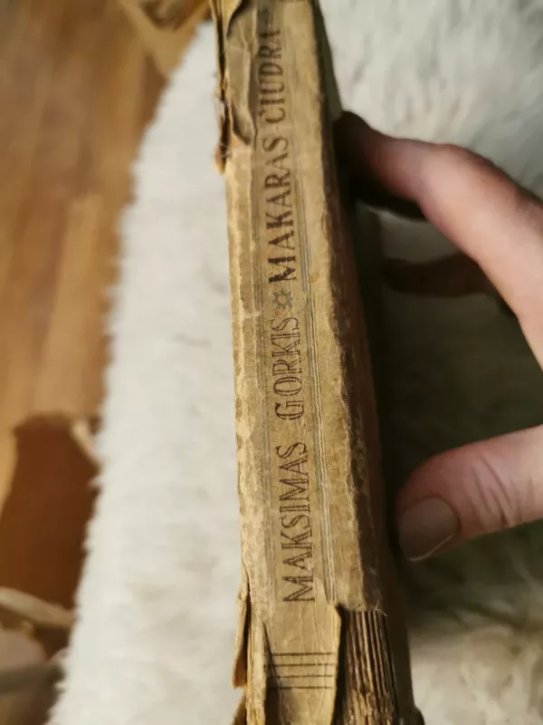 Makaras Čiudra - Maksimas Gorkis, knyga 3