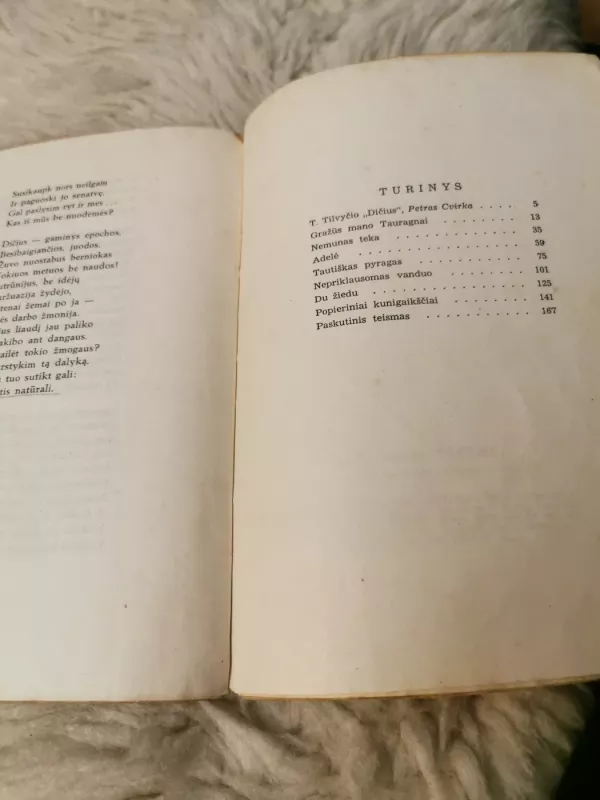 Dičius - Teofilis Tilvytis, knyga 6