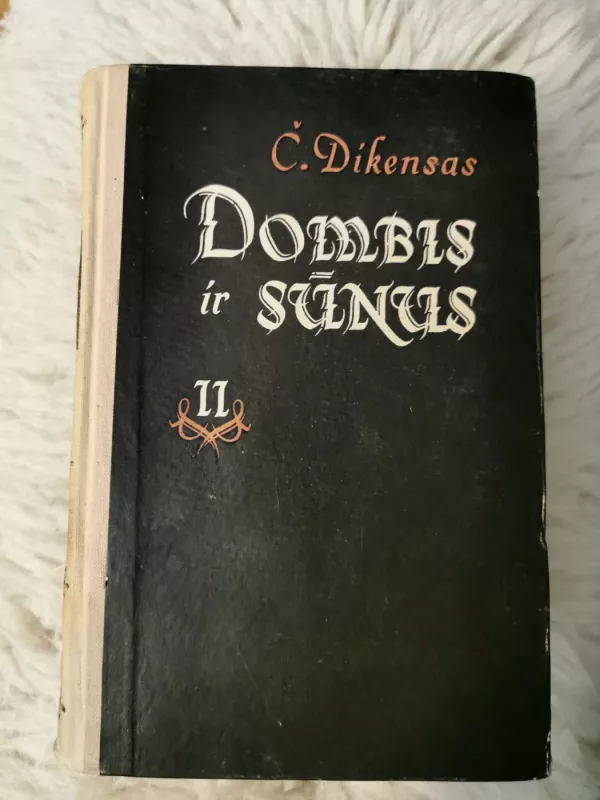 Dombis ir sūnus (II tomas) - Charles Dickens, knyga 3