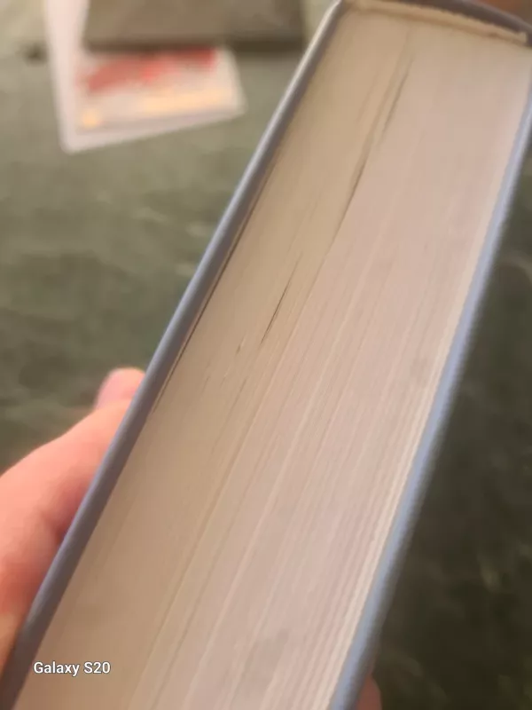 Apie likimo upę ir Vėją - Vytas Sabaliauskas, knyga 4