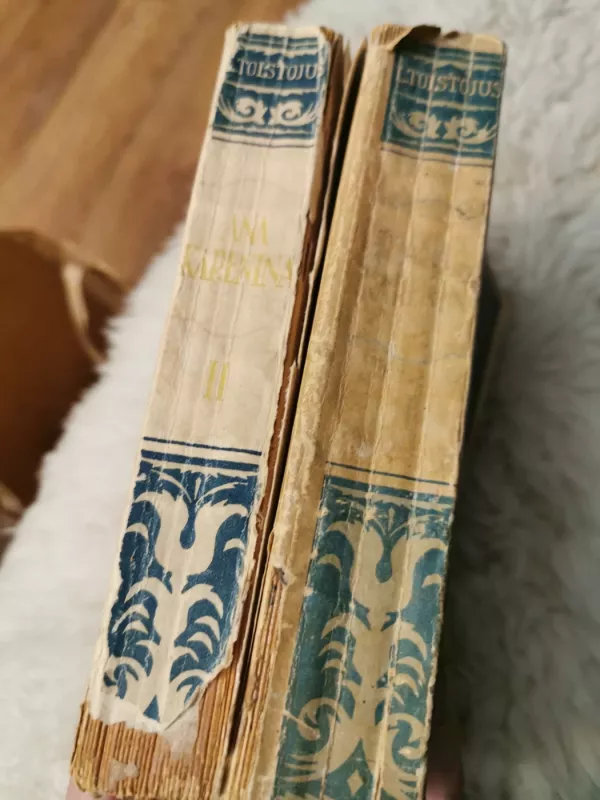 Ana Karenina (I-II dalys) - Levas Tolstojus, knyga 3