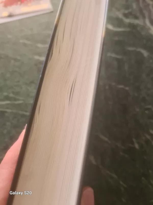 Apie likimo upę ir Vėją - Vytas Sabaliauskas, knyga 5