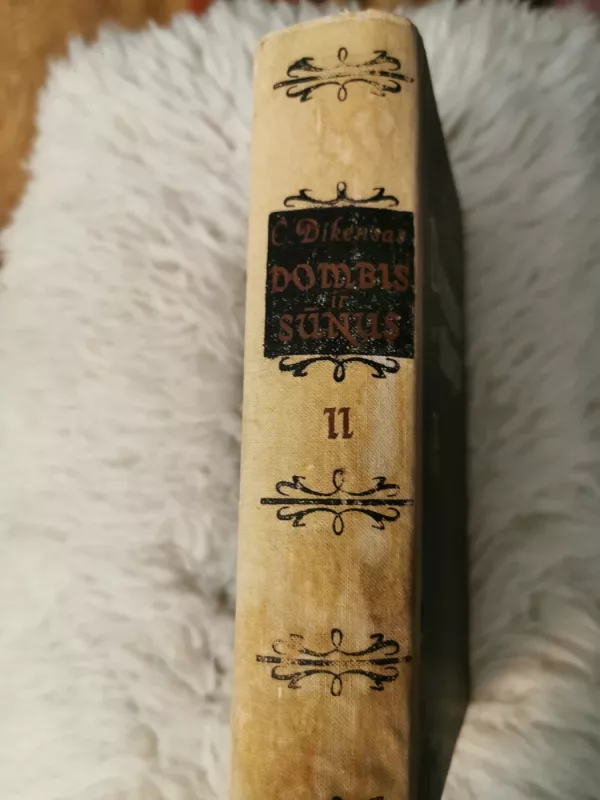 Dombis ir sūnus (II tomas) - Charles Dickens, knyga 2