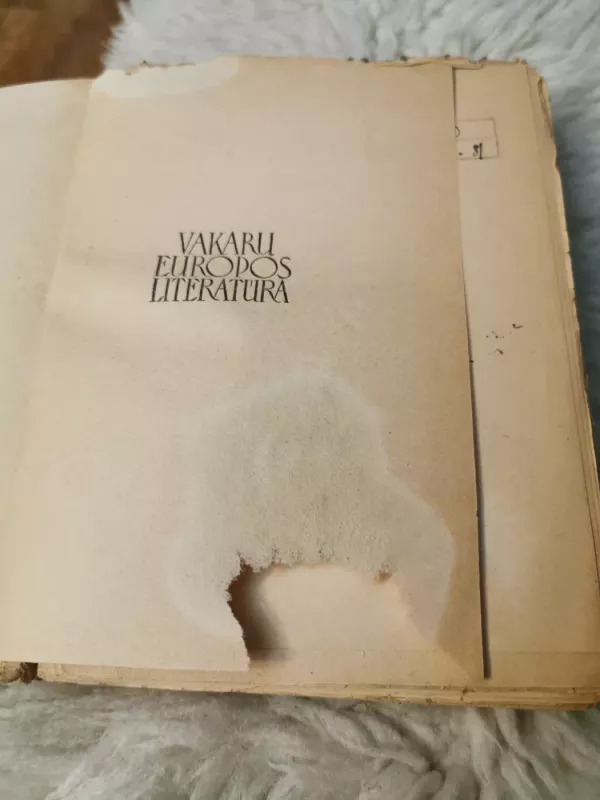 Vakarų Europos Literatūra I tomas - P. Koganas, knyga 4