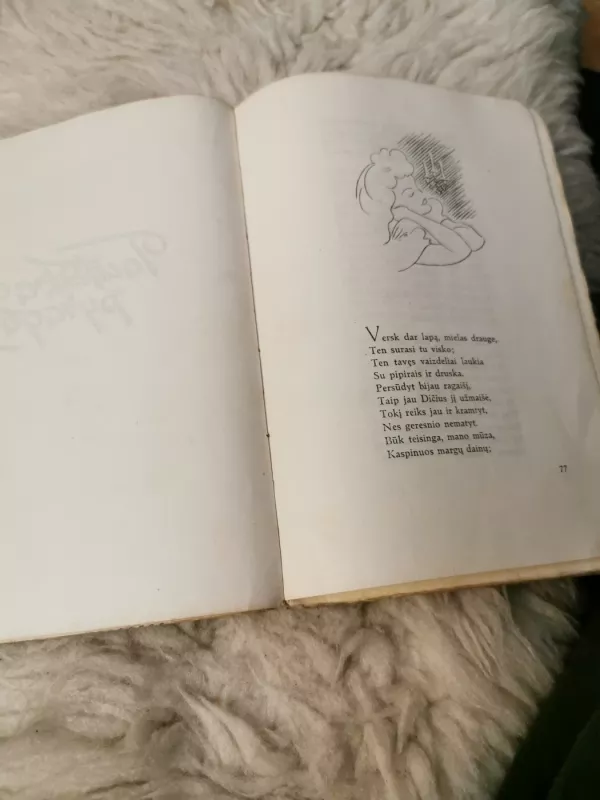 Dičius - Teofilis Tilvytis, knyga 5