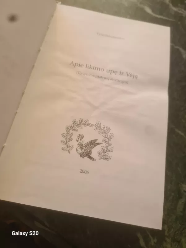 Apie likimo upę ir Vėją - Vytas Sabaliauskas, knyga 6