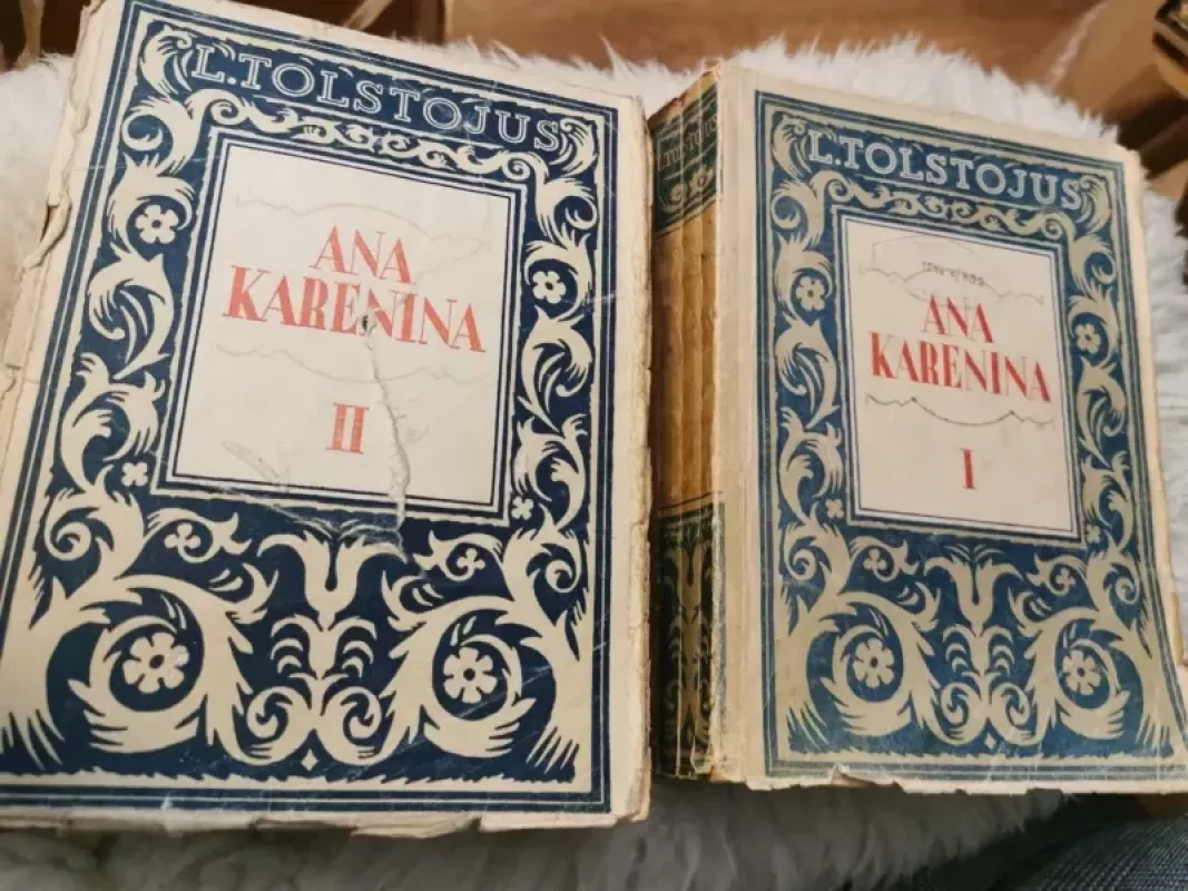 Ana Karenina (I-II dalys) - Levas Tolstojus, knyga 2