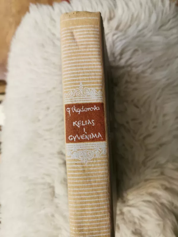 Kelias į gyvenimą - F. Vigdorova, knyga 3