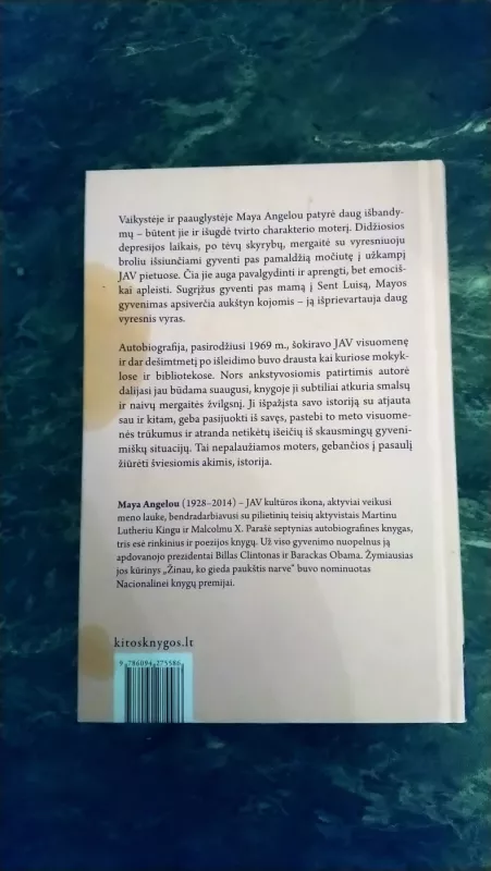 Žinau, ko gieda paukštis narve - Maya Angelou, knyga 3