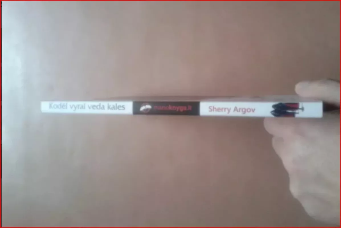 Kodėl vyrai veda kales. Kaip pavergti ir ilgam užvaldyti vyro širdį - Sherry Argov, knyga 3