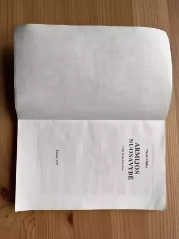 Armijos nuosavybė - Piteris Fildas, knyga 3