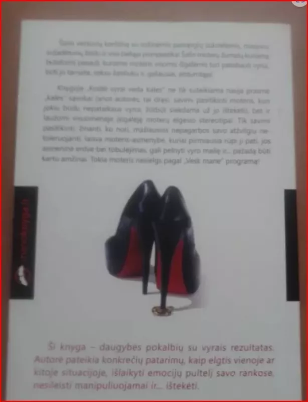 Kodėl vyrai veda kales. Kaip pavergti ir ilgam užvaldyti vyro širdį - Sherry Argov, knyga 4