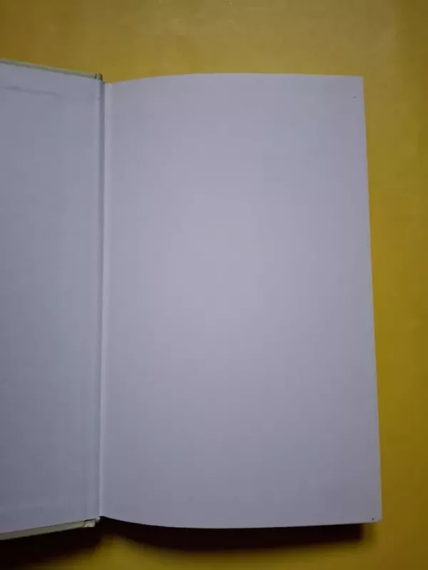 Mano gyvenimo moteris - Carla Guelfenbein, knyga 4