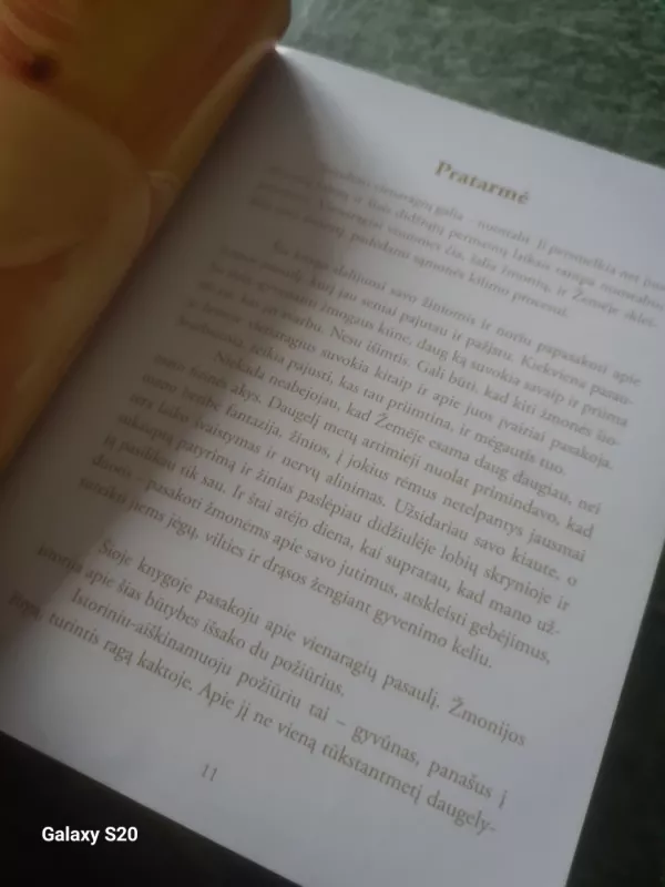 Vienaragiai - Autorių Kolektyvas, knyga 4