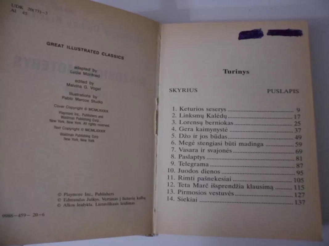 Mažosios moterys - Luiza Alkot, knyga 3