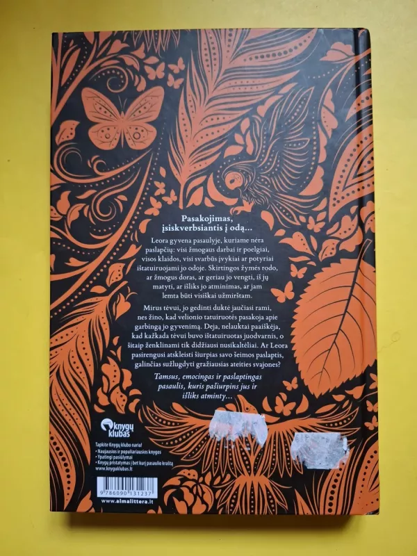 Juodvarnio žymė - Alice Broadway, knyga 3