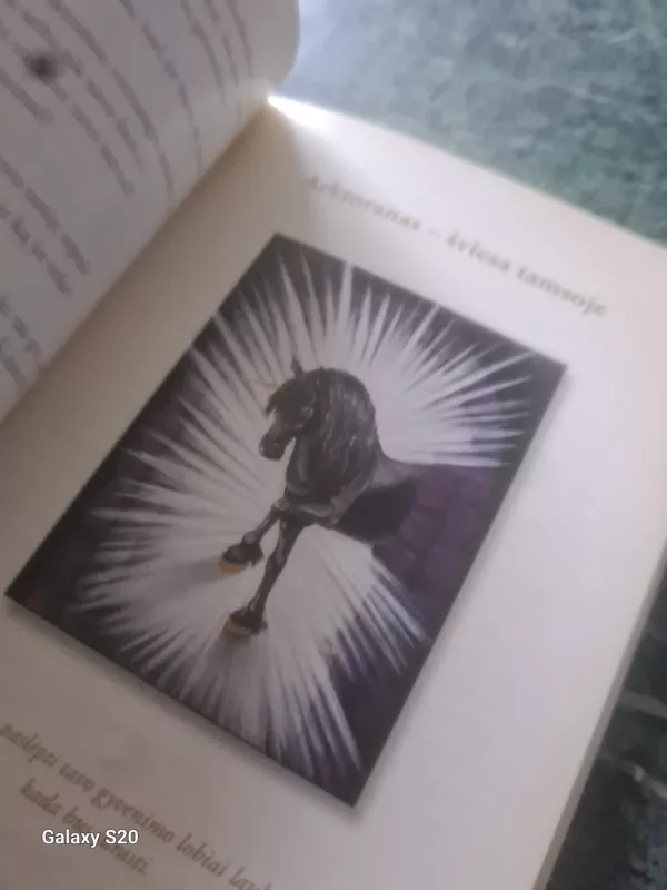 Vienaragiai - Autorių Kolektyvas, knyga 5