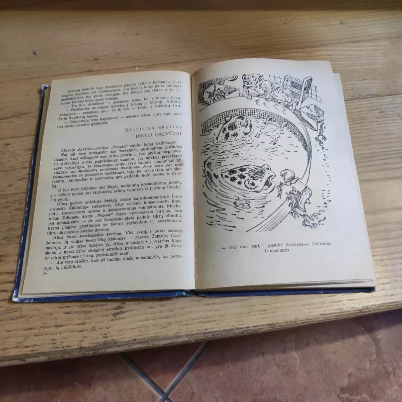 Žemės mergaitė - Kirilas Bulyčiovas, knyga 6