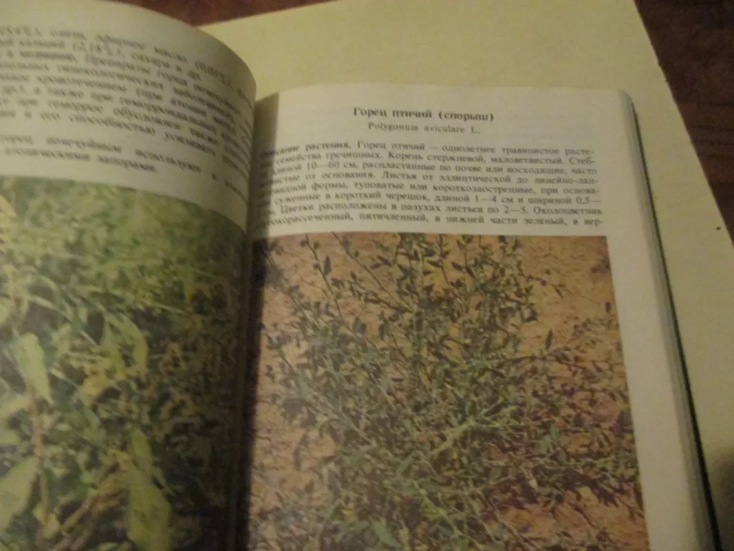 Vaistažolių žinynas (rusų k.) - Autorių Kolektyvas, knyga 5