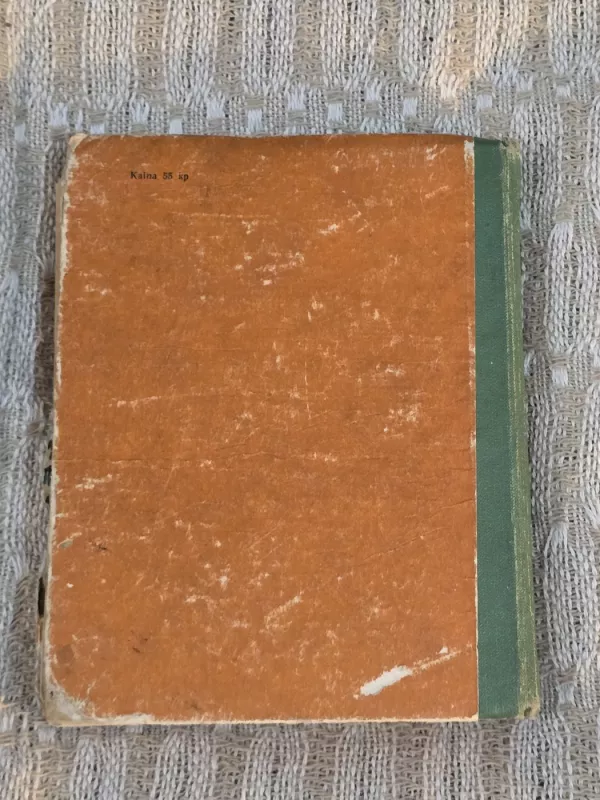 Gegužės šakelė žalia - Marija Priležajeva, knyga 3