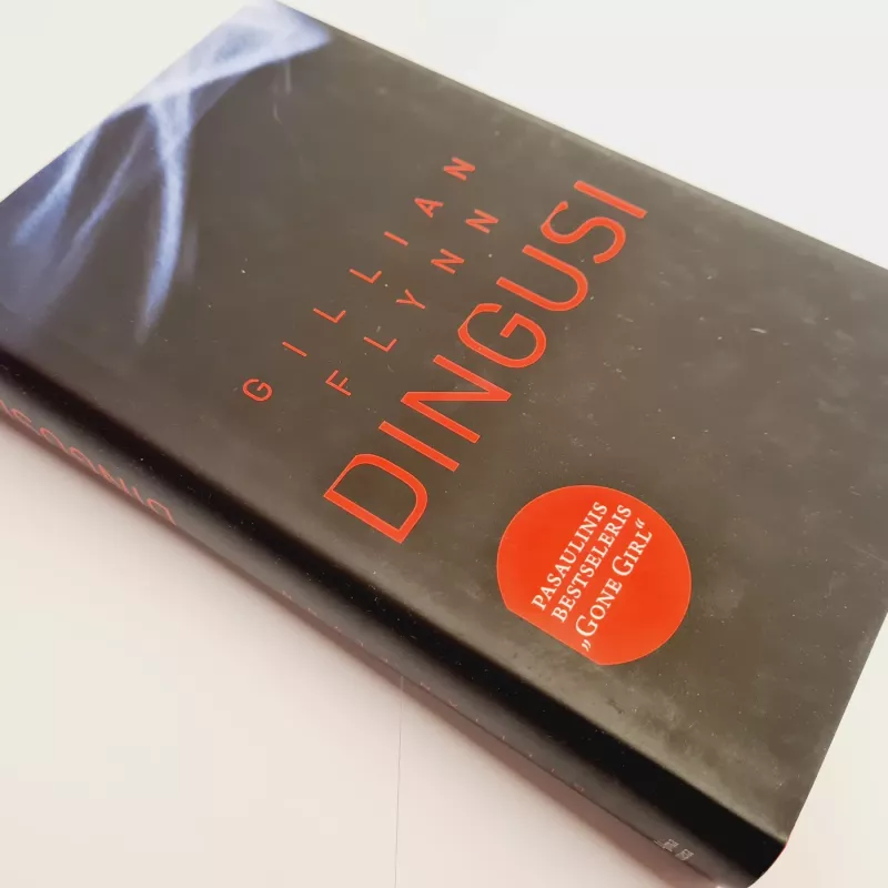 Dingusi - Gillian Flynn, knyga 2